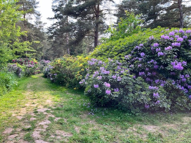 23-06-03 16-44-12 5794.jpeg